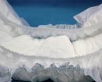 Upgrade Your Diaper Game with Organic Fluff Pulp Adult Diapers Free Samples and