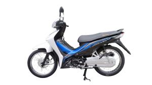Wholesale Chain Cover CDI CUB Motorcycle 110cc Moped Dual Sport Dirt Bike from china suppliers