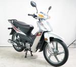 Single Cylinder 110cc Enduro Dirt Bikes Automatic Clutch Pit