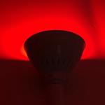 Single Color Warm White 2700K 0.7kg Swimming Pool Bulb