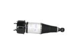 OEM XJ Jaguar Air Ride System Fit Xjr Xj6 Xj8 Rear C2C41341