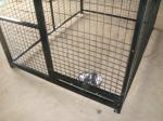 Round tube temporary dog fence