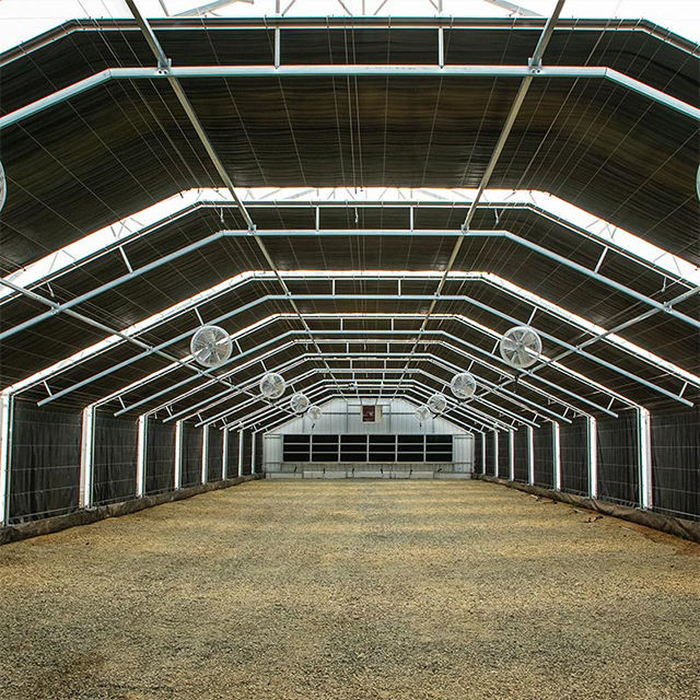 Automatic Fully Light Deprivation Mushroom Polyhouse Blackout Greenhouse For Medical Herb