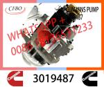 Genuine Diesel Fuel Injection Pump 2048809 3019487 3059657 For Cummins NT855