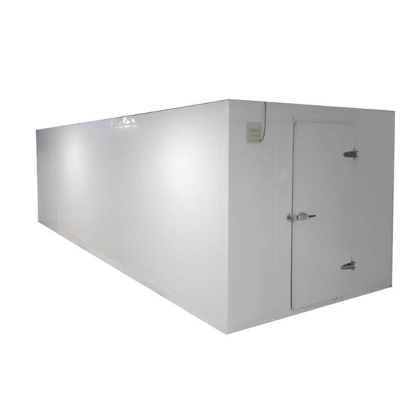 Freezer/Chiller/Cool/Cold Storage Room with Compressor Refrigeration Unit for