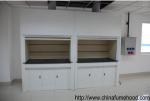 2014 Hot Sale School Fume Hood For College Biology Laboratory