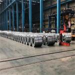DC53D Galvanized Steel Coil JIS Husbandry Gi Sheet Coil Flat Surface