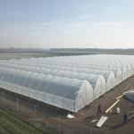 Uv Resistant Polyethylene Berry Hoop Film Greenhouse With Door Keep Warm Growing