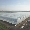 Buy cheap Uv Resistant Polyethylene Berry Hoop Film Greenhouse With Door Keep Warm Growing from wholesalers