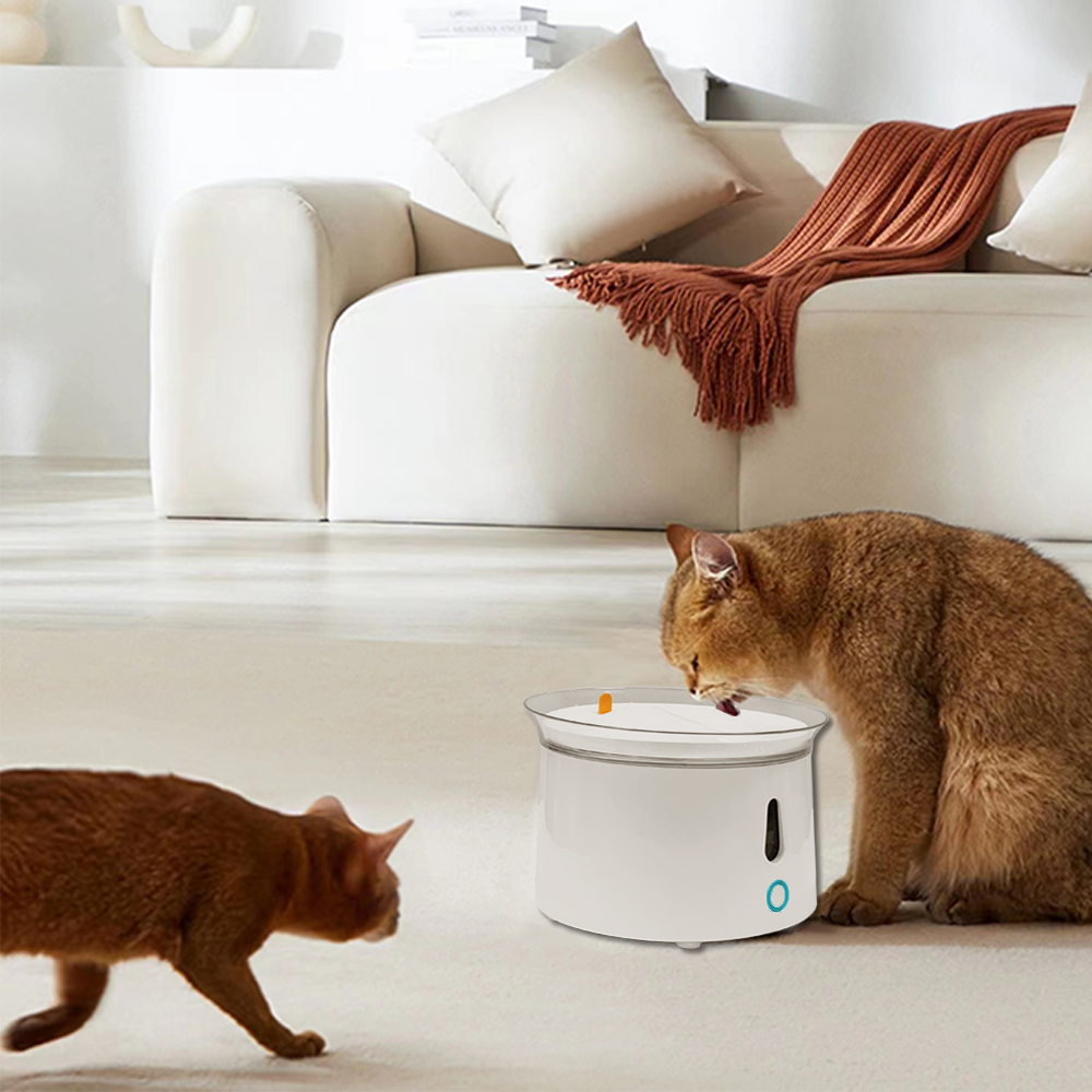 Water Bottles Item Type Newest Smart Pet Bowl Feeder Drink Bowl Dispenser with Pump