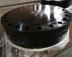 ANSI B16.5 ASTM A105 Flange Carbon Steel Class 300 Pipe Fitting