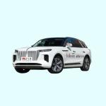 Electric Car Spot China luxury executive grade pure electric SUV Hong qi E-HS9