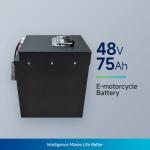 High Capacity Batteries Used In Electric Motorcycle battery NCM48V75Ah 12.5A Max