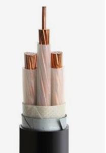 Wholesale Black Copper Armored Cable , Steel Wire XLPE 12 4 Armored Cable from china suppliers