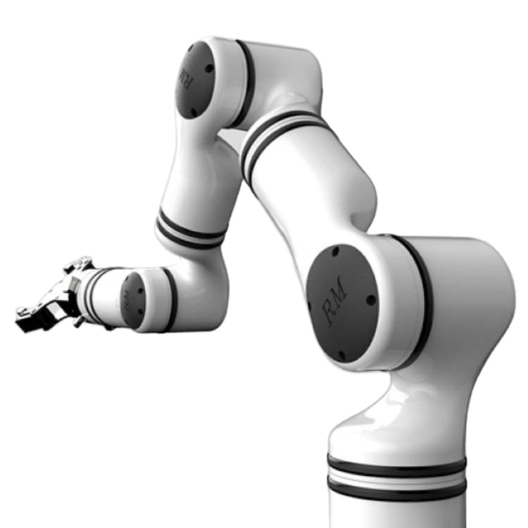 Humanoid Manipulator 6 Axis RM65-B Collaborative Robot Payload 5kg Ultra Lightweight Cobot