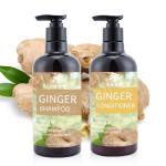 Ginger Shampoo For Hair Growth Anti Hair Loss Anti Dandruff Private Label
