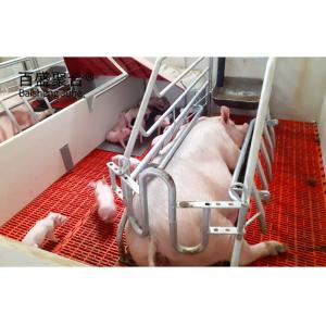 Wholesale Galvanized Pig Raising Equipment Prefab Steel Frame Sheds for Pig Farm Grade Steel from china suppliers