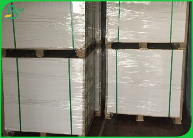 PE Coated 200G 250G 300G 350G Folding Box Board White Cardboard for Food Box