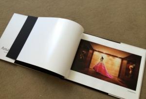 Wholesale Contemporary Pregnancy / Love Memories Softcover Photo Book 14x10 from china suppliers
