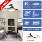 42 Inch Multifunctional Music Hidden Blades Ceiling Fan Light Lighting Solutions