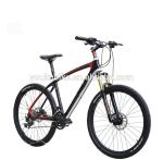 Popular design Complete carbon fiber mountain bicycle made in China for sale