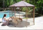 Black Color Large Dog Cage Outdoor Dog Kennel With Cover Easy Assemble