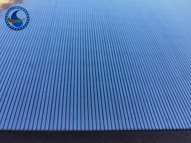 100mm Slot Wedge Wire Screen Panels Stainless Steel Customized