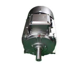 Wholesale 1475RPM 3 Phase Squirrel Cage Induction Motor YE3 160M-4 11kW from china suppliers