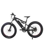 Customized Electric Bicycle 48v 500w Full Suspension E Bike with 13 AH Down Tube