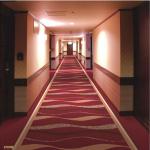 Waterproof Hotel Hallway Carpet Luxury Red Long Length Printed Pattern