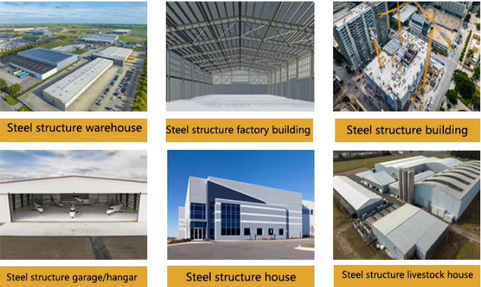 Q235B Q355B Galvanized Purlin Metal Shed Design Prefabricated Steel Structure Workshop Building For Self Storage