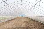 Stable Structure Polyethylene Film Greenhouse / Vegetable Tomato Plant