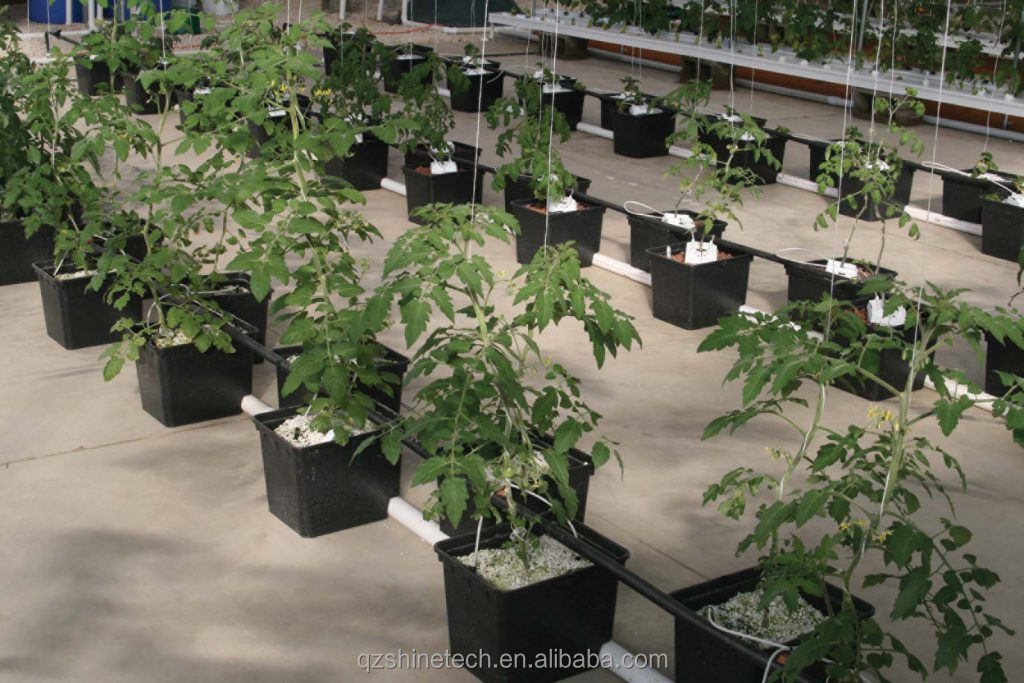 30*25*23cm Dutch Bucket Complete Hydroponic Growing System For Tomato Cucumber Pepper