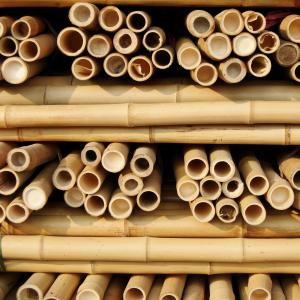 Wholesale China Bamboo Town Solid Dried Bamboo Poles For Gardening And Construction Nature Bamboo Pole from china suppliers