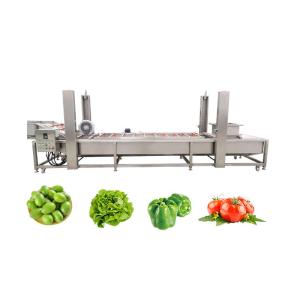Wholesale Water Saving Vegetable Seed Cleaning Peeling Machine 2500*1200*1300mm for Fruit Washing from china suppliers