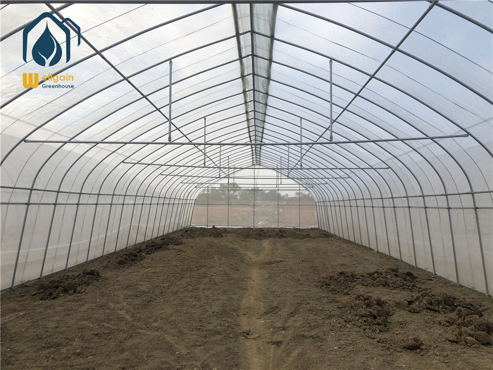 Hot Dip Galvanized Pipe High Tunnel Greenhouse Customizable Agriculture Greenhouse