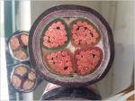 0.6/1KV Copper core PVC insulated PVC sheathed power cable (YJV 3x185+1x95)