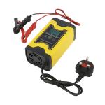 3 Stage Automatic 12V AGM GEL WET Lead Acid Battery Pulse Repair Fast Charging
