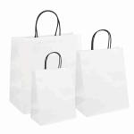 16x8x22 CMYK Plain Colorful Kraft Paper Shopping Bags White Gift Bags With