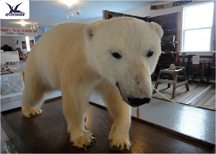 Realistic Animatronics Animals Models Lifelike Polar Bear Statues For Decoration