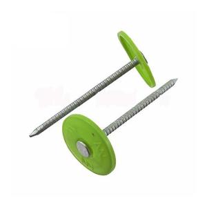 Wholesale Green 1&quot; Round Head Plastic Cap Roofing Nails For Industrial And Construction Use from china suppliers