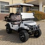 2+2-Seater Luxury Classic White Electric Golf Cart With High Horsepower 14-Inch