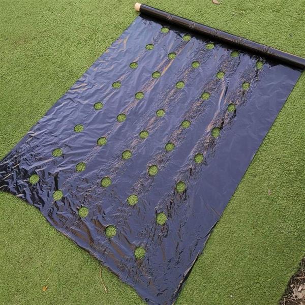 Weed Control Mulch Film, Agriculture Vegetable Black PE Films, 5 Holes