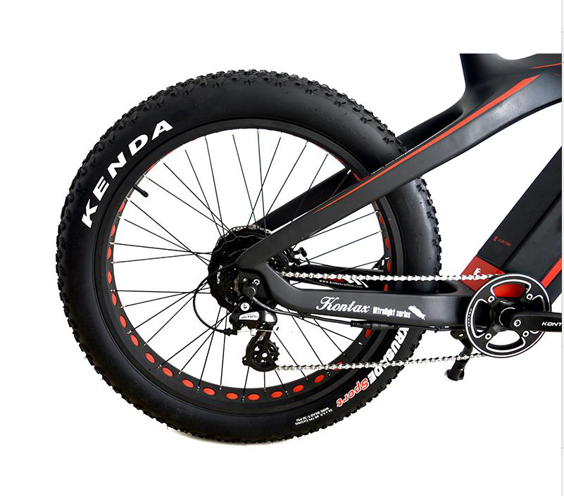Powerful 750W Ebike with Super Light Carbon Fiber Frame and Down Tube Battery Position