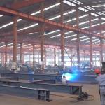 Customizable Steel Structure Industrial Steel Building Warehouse Anti Earthquake