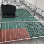 Hot Dip Galvanized Piggery Farm Equipment PVC board Weaner Raised Farrowing