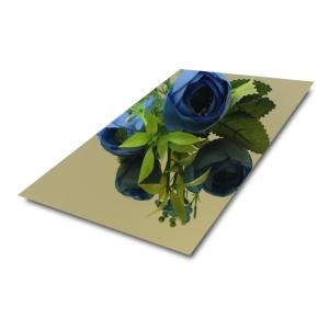 Wholesale 201 Inox Color Stainless Steel Sheet Gold SS 304 Sheet Mirror Finish from china suppliers