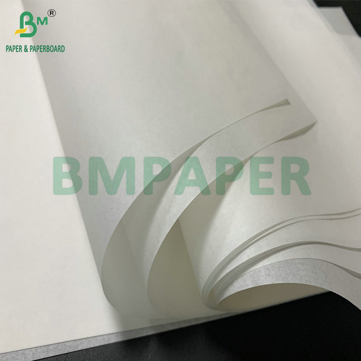 600mm Roll Width 25gsm 30gsm White Kraft Paper For Cake Baking Paper  