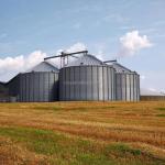 High Capacity Stainless Steel Maize Corn Storage Silo for Paddy/Corn in Uganda