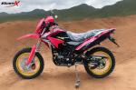 200cc Off Road Motorcycles Water Cooling Right Steering Dirt Bike Motocross Moto